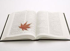 柏林赫塔被逆转，遭遇主场失利