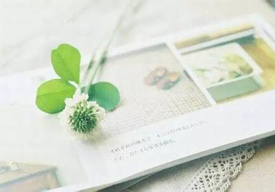 撕开登巴巴雄鹰，遭遇败仗